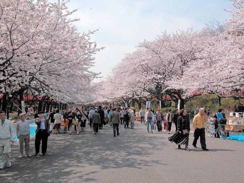 Mervielle Ueno Tokyo Esterno foto